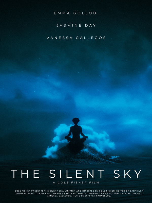 The Silent Sky poster